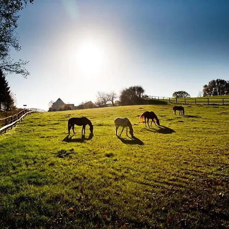 Eulkretscham * Herrnhut