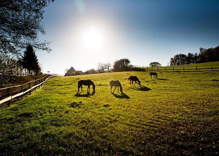 Eulkretscham * Herrnhut